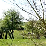 Chez Catharina Oldtimer Couette-café 3*