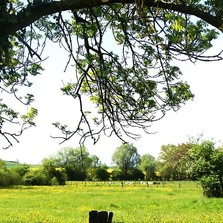 Bed & Breakfast Chez Catharina Oldtimer Levoncourt (Meuse)