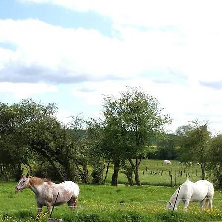 Bed & Breakfast Chez Catharina Oldtimer