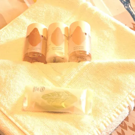 Chez Catharina Oldtimer