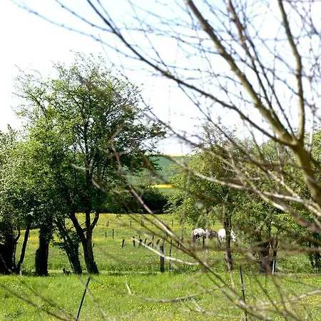 Chez Catharina Oldtimer Bed & Breakfast 3*