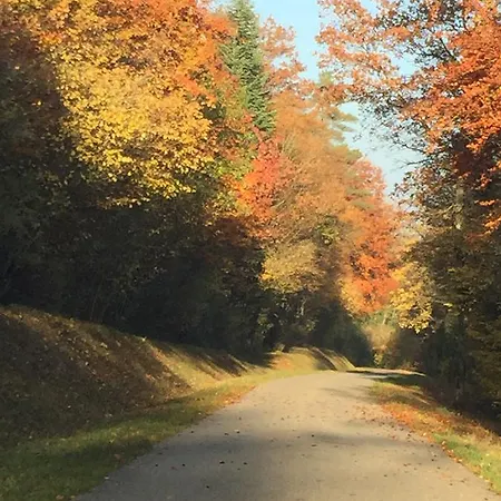 Chez Catharina Oldtimer Bed & Breakfast