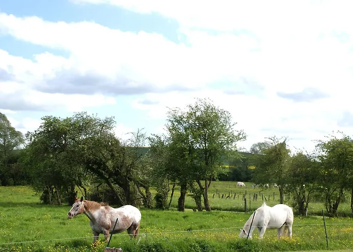 Bed & Breakfast Chez Catharina Oldtimer