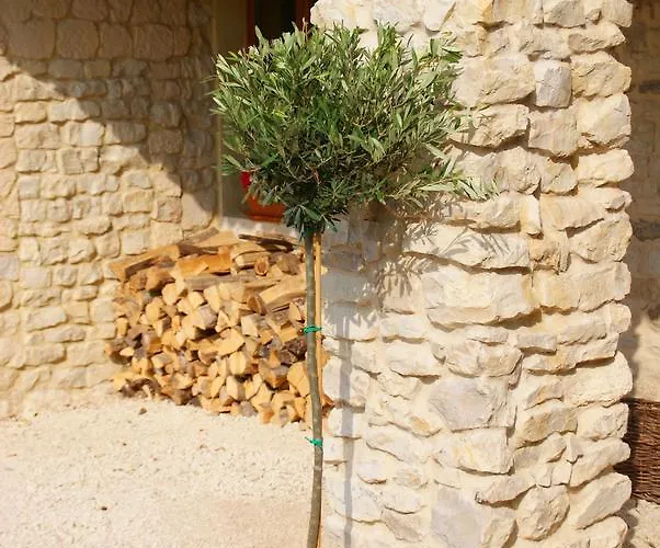 Chez Catharina Oldtimer Bed & Breakfast Levoncourt (Meuse)